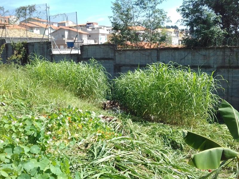 Foto 6 do imóvel