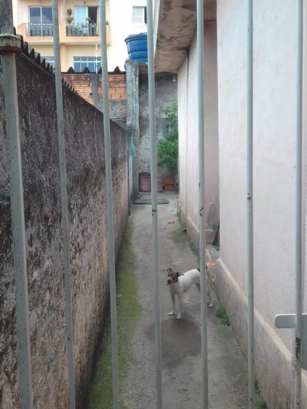 Foto 2 do imóvel