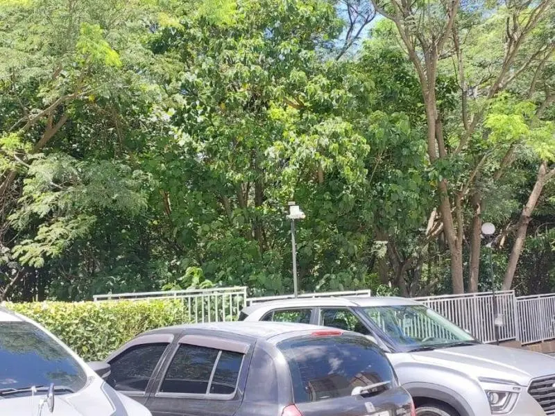 Foto 5 do imóvel