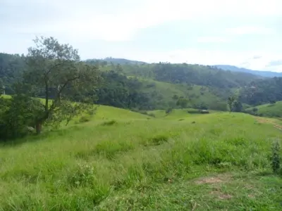 Imóvel 14161